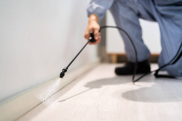 Bed Bug Pre-Treatment Preparation Assessment in State Center