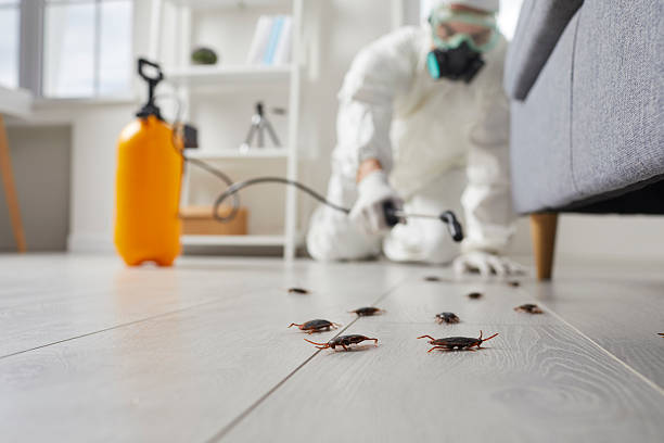 Post-Treatment Bed Bug Interceptor Monitoring in State Center